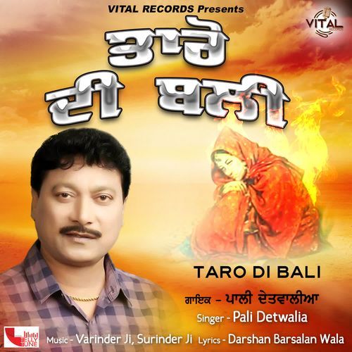 Taro Di Bali