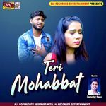 Teri Mohabbat