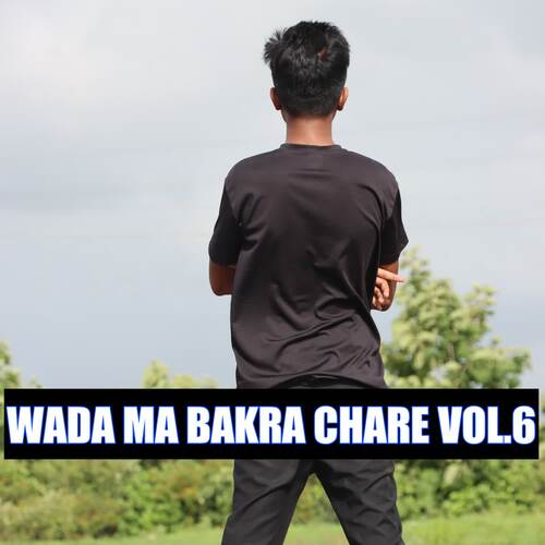 Wada Ma Bakra Chare Vol.6