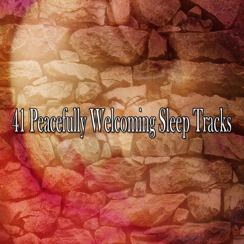 41 Peacefully Welcoming Sleep Tracks