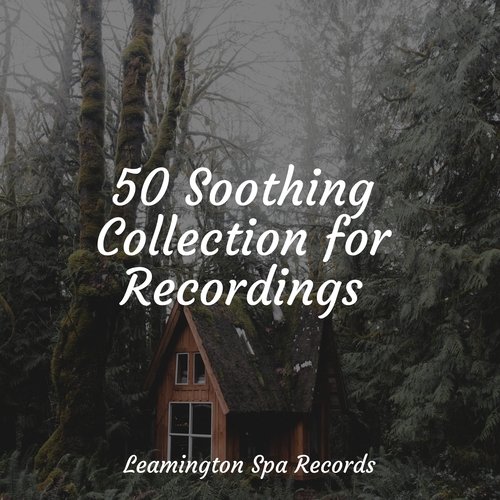 50 Soothing Collection for Recordings