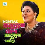 Bajlo Bashi Charlo Gari