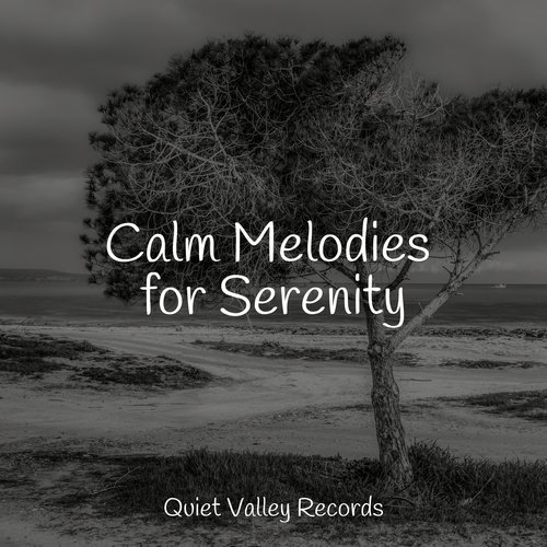 Lazy Morning cover art