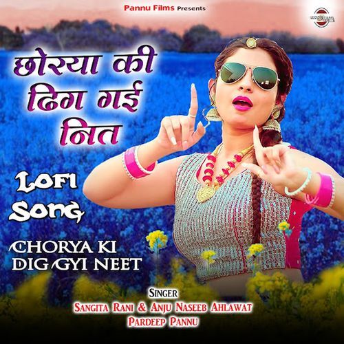 Chorya Ki Dig Gyi Neet (Lofi Remix)