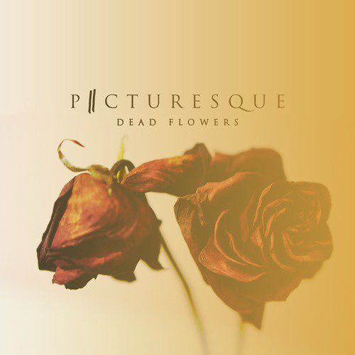 Dead Flowers_poster_image