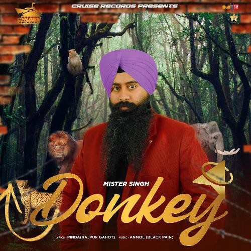 Donkey