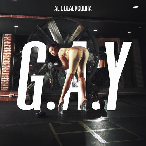 G.A.Y o(^∇^)o