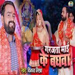 Garjata Maai Ke Baghwa