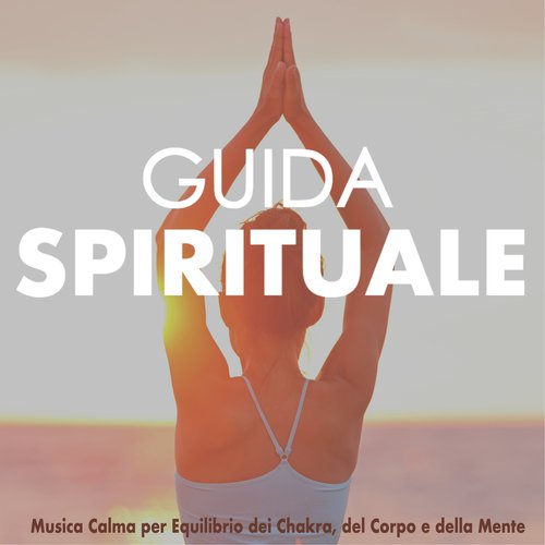 Meditare Zen cover art