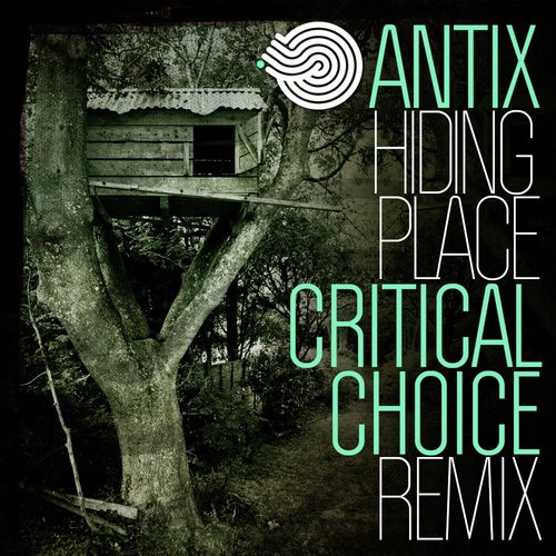 Hiding Place (Critical Choice Remix)_poster_image