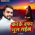 Karke Wafa Bhula Gailu