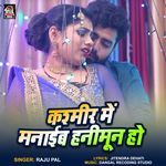 Kashmir Me Manaib Hanimun Ho