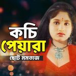 Bondhu Aili Na Aili Na Mor Ghore