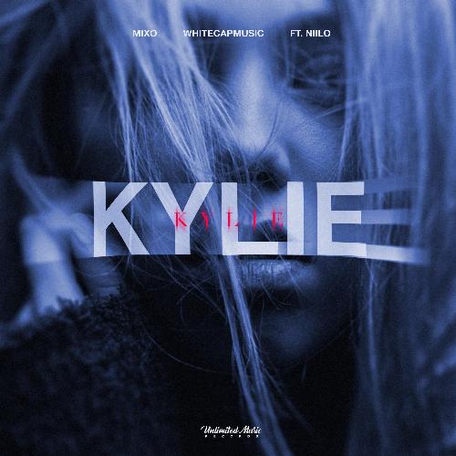 Kylie (feat. Niilo)