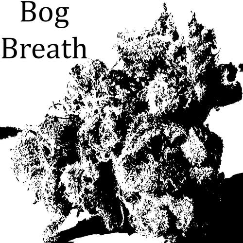 Smoker cover art