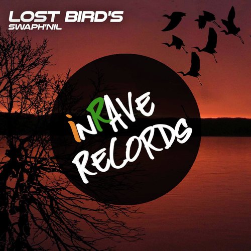 Lost Bird's_poster_image