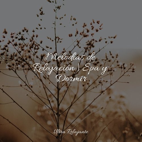 Ecos Celestiales cover art