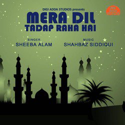 Mera Dil Tadap Raha Hai-OAUZeAcHYQA