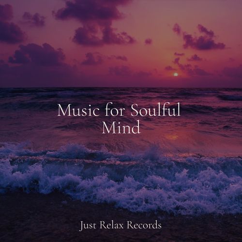 Music for Soulful Mind_poster_image