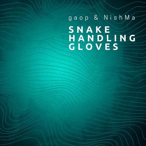 Snake Handling Gloves_poster_image