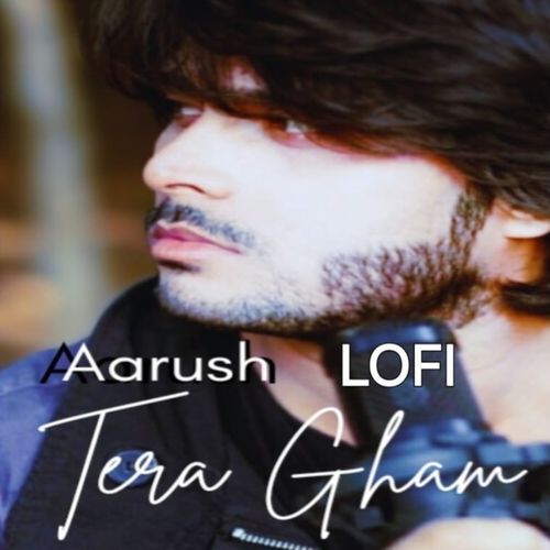Tera Gham (Lofi)