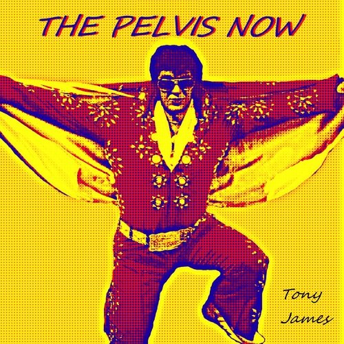 The Pelvis Now_poster_image