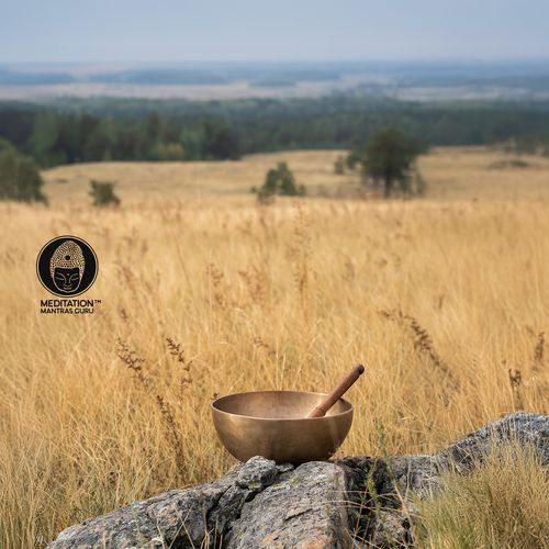 Tibetan Bowls Bath: Healing Buddhist Journey with Meditation_poster_image