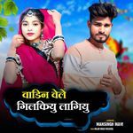 Vadine vele gilkiyu lagiyu