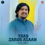 Yaad Zaror Asaan