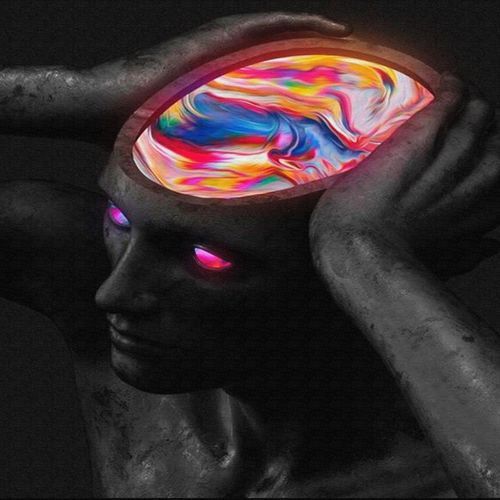 Quantum Signal cover art
