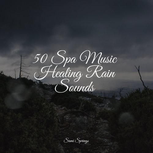 50 Spa Music Healing Rain Sounds