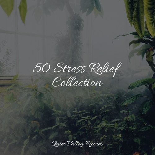 Sleep Music cover art