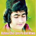 Ashna Che Lare Pa Bal Khwa