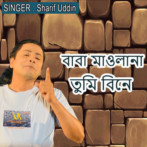 বাবা মাওলানা তুমি বিনে