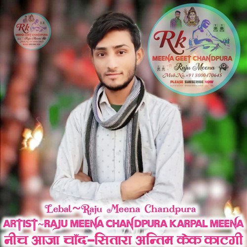 Birthday Meena Geet Raju Meena karpal Meena cover art