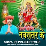 Din Pawan Navratar Ke