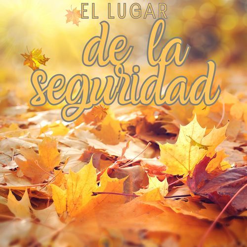 Calidez Musical cover art