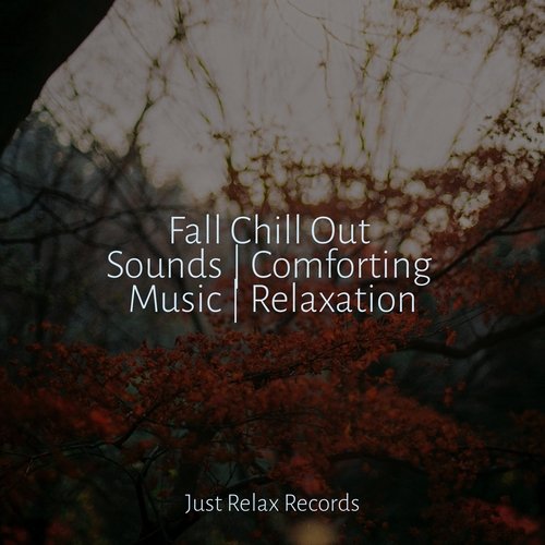 Fall Chill Out Sounds | Comforting Music | Relaxation