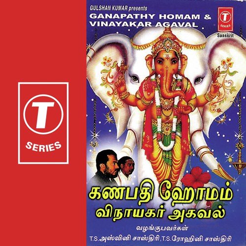 Ganapathy Homam, Vinayakar Ashtothram