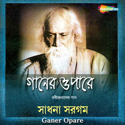 Shrabanero Gaganero Gay Bidyut cover art