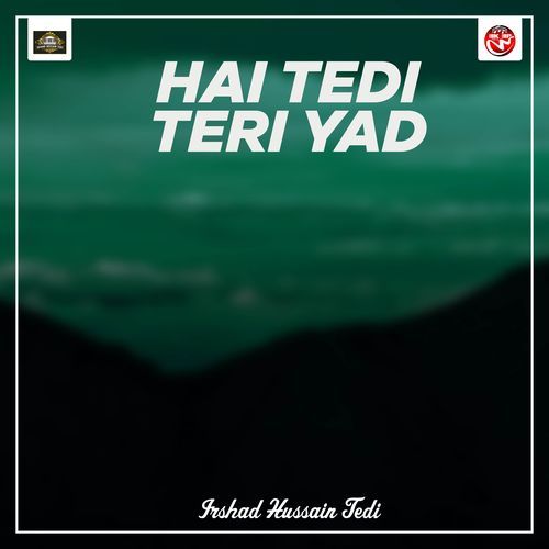Hai Tedi Teri Yad