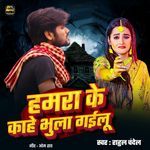 Hamra Ke Kahe Bhula Gailu