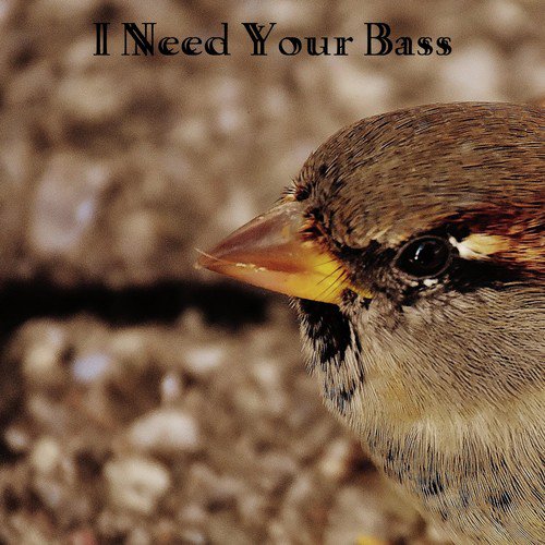 The Pillow Book Song Download I Need Your Bass Song Online Only