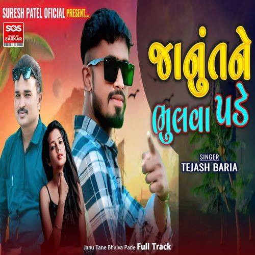 Janu Tane Bhulva Pade Full Track