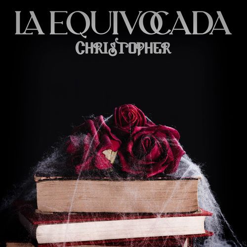 La Equivocada_poster_image