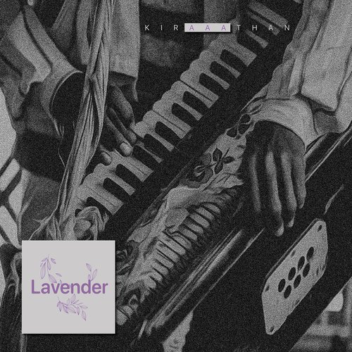 Lavender