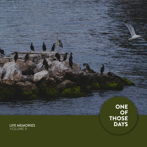 Life Memories, Vol. 9