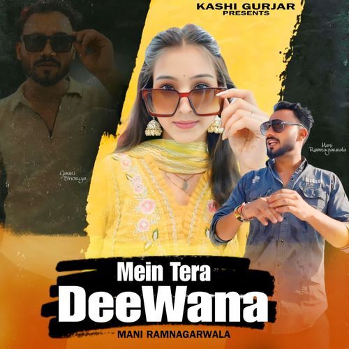 Mein Tera Deewana