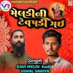 Meldi Ni Tev Padi Gai