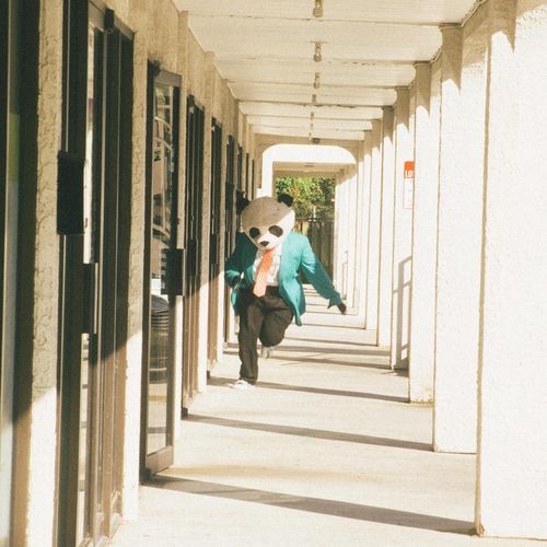 Crash For You cover art